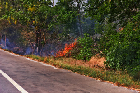 The highway prevents the spread of a forest fire because the wind blows from the road, rate of spreadの写真素材