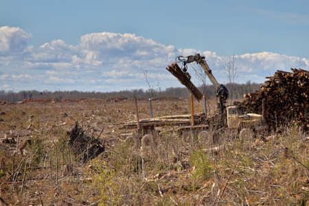 Forest industry. Operations for loading-unloading logging truck at felling (cutover area) and...