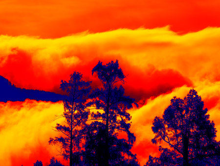 Beautiful mountain forest and mountain slopes covered with clouds, the contrast of changed colors....