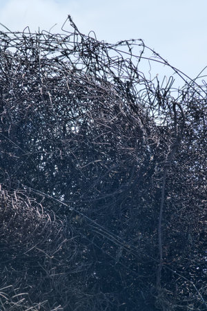 Wire scrap metal on the outskirts of the village is collected in a pile for recycling