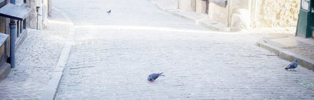 back streets and courtyards of the old city with a pavementの写真素材