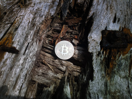 Old and new concept. A rotting Wooden Wall and a Shiny Bitcoin as a Modern Financial Instrumentの写真素材