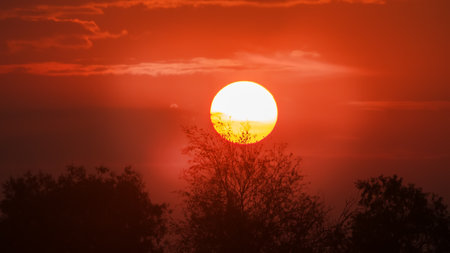 Sunrise on a spring morning: daybreak, morning dawn and the light of Aurora. The solar disk rises against the background of smoky clouds and through the greening branches of shrubsの写真素材