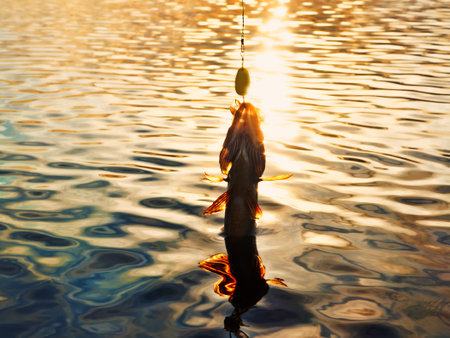Fishing at sunset. Catching predatory fish on spinning. Sunset colors on the water surface, sunny...