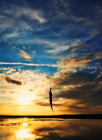 Fishing at sunset. Catching predatory fish on spinning. Sunset colors on the water surface, sunny path from the low sun. Perch caught on yellow spoonbaitの写真素材