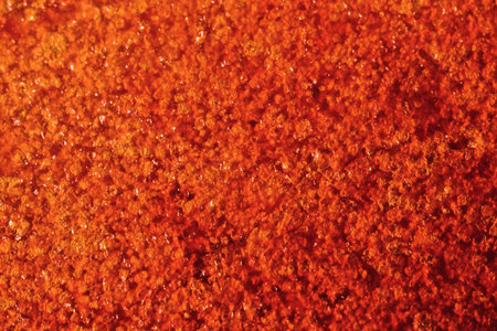 Oriental sweets. The surface of the fruit candy (pastille; marshmallow). Ultra Macroの写真素材