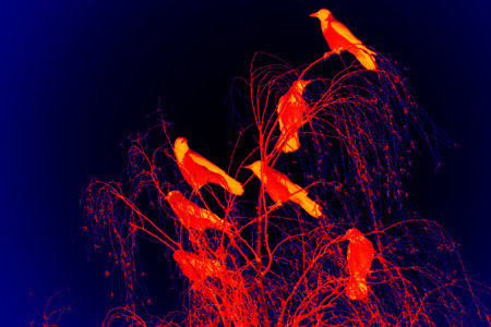 Nocturnal clusters of crows on tree. Illustration of thermal imageの写真素材