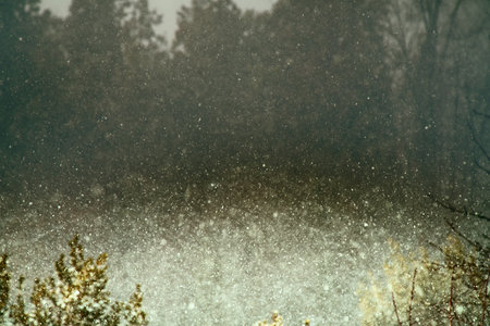 Snowfall in winter