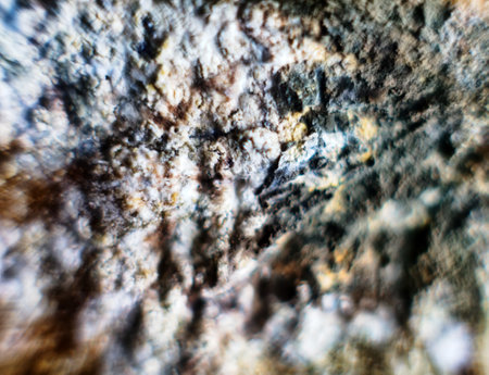 Molded cheese, semi-hard varieties. Ultra macro. selective focus