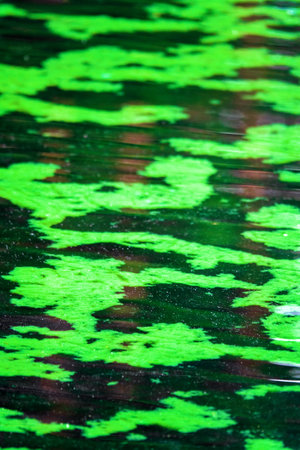 The reservoir is heavily polluted with sewage, eutrophication, and surface biofilmの写真素材