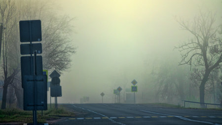 On the highway on a foggy winter day. Transport traffic, thick weather, limited visibilityの写真素材