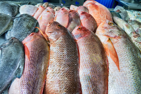 Bandar Abbas, Iran. Fish market. The fish of the Persian Gulf and the Arabian Sea are caught and...