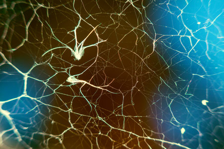 Hyphae of mold fungi or leaf lichens. Extreme close up