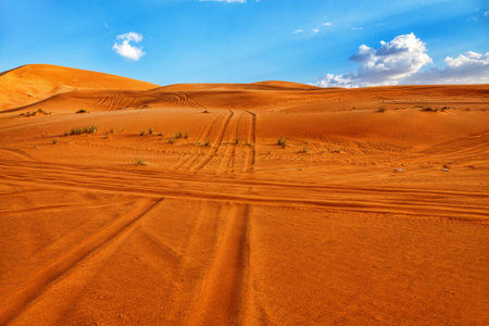 Hot deserts of southeastern part of the Arabian Peninsula. Orange barchan dune (inland sandhill...