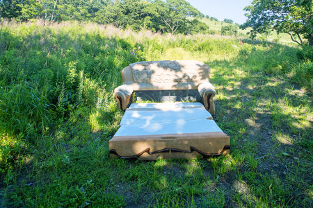 sofa, bench for a traveler at the edge of the forestの写真素材