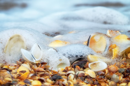 The pearl foam of the sea washes the shells of bivalves. The goddess of love was born from such...