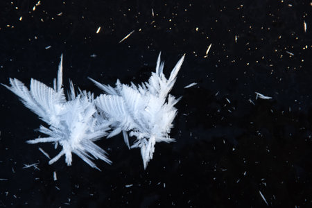 Glaciology. Young freshwater ice with characteristic tabular crystals of perspiration on the surface (crystal flake). Nilas at the age of 2 days, temperature. The most beautiful patternの写真素材