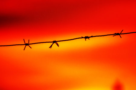 Barbed wire on a red sky background. Authoritarian regime, suppression of free thought concept. Stalin's purges of Soviet officials, tyranny, conservative policyの写真素材
