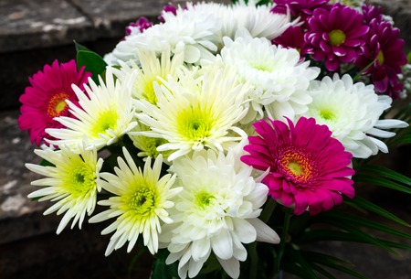Beautiful Bouquet with asters, chrysanthemums and gerberasの写真素材