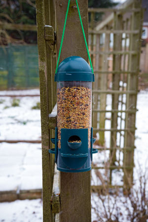 bird feeder full of seeds in gardenの写真素材