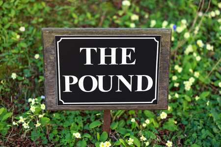 the pound street sign on flower background.の写真素材