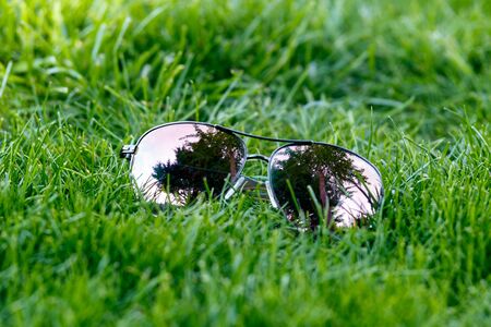 Aviator sun Glasses on green lawn grass holiday conceptの写真素材
