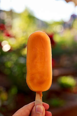 hand with mango ice cream lollipop on sunny summer dayの写真素材