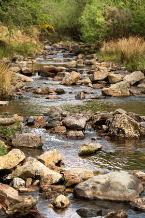 Dart river rapids, passing through beautiful landscape of Dartmoor national park, Devon UK