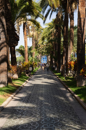 PUERTO DE LA CRUZ, TENERIFE - October 2023: Tourists enjoy the sun on the Paseo Martianez promenadeの写真素材