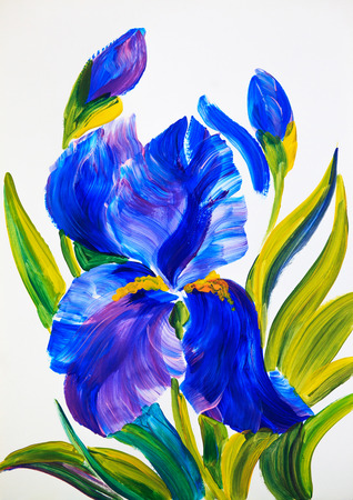 watercolour painting -  bouquet of irises on a white backgroundの写真素材