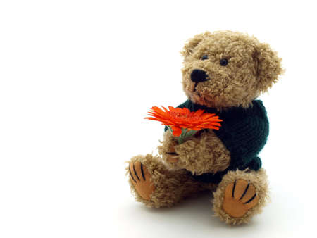 Teddy Bear with flower on the white backgroundの写真素材