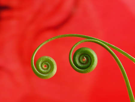 Abstract spiral backgroundの写真素材