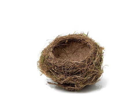 Bird's nest with eggs on the white background