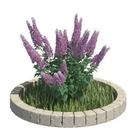Garden plants 3d illustration isolated on the white backgroundの写真素材