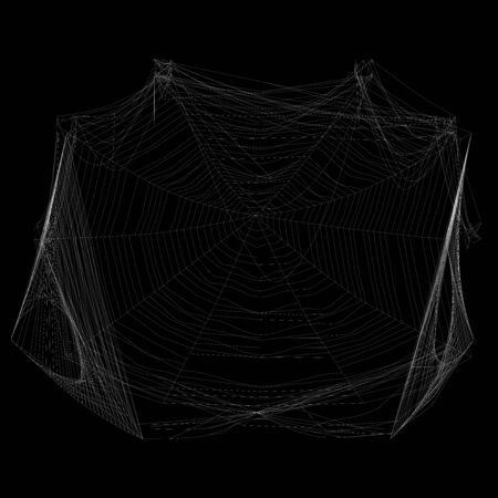 Spider web 3d illustration isolated on the black backgroundの写真素材