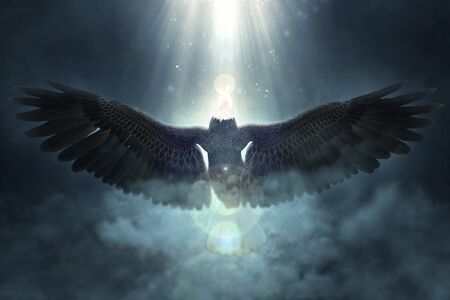 Bald eagle flying over the clouds 3d illustration