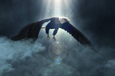 Bald eagle flying over the clouds 3d illustration