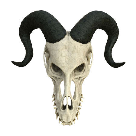 Monster skull isolated on white background 3d illustration