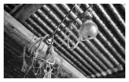 old lamp shed photographed in a countryの写真素材