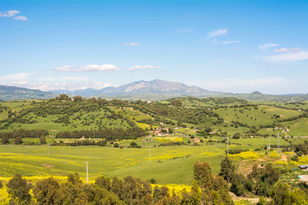 Natural valley landscape green fields blue spring skyの写真素材