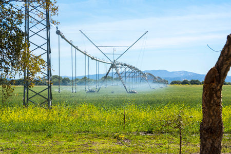 Industrial irrigation of cropsの写真素材