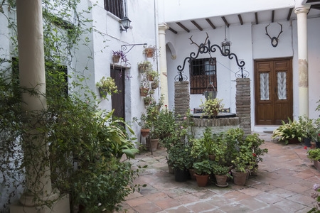 Typical Andalusian courtyard with many plants and flowers, Spainの写真素材