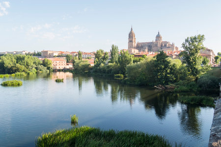 Tormes river and Cathedral of the city of Salamanca in Spain.の写真素材
