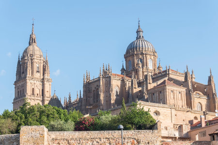 Photo detail of part of the Salamanca catedral in Spain.の写真素材