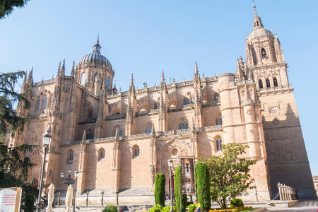 Photo detail of part of the Salamanca catedral in Spain.の写真素材