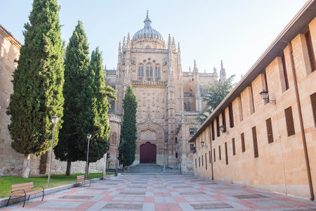 Photo detail of part of the Salamanca catedral in Spain.の写真素材