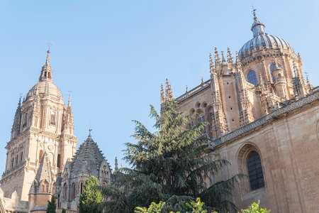 Photo detail of part of the Salamanca catedral in Spain.の写真素材