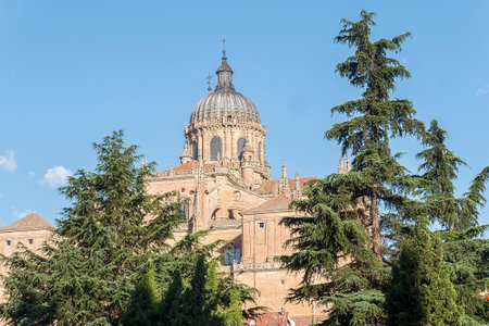 Photo detail of part of the Salamanca catedral in Spain.の写真素材