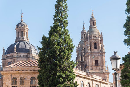 Photo detail of part of the Salamanca catedral in Spain.の写真素材