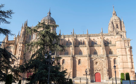 Photo detail of part of the Salamanca catedral in Spain.の写真素材